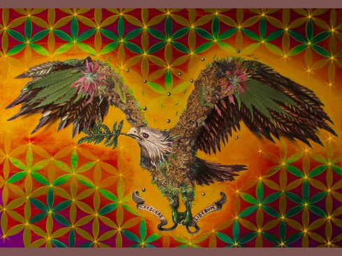 ZeffPelaez-GrowFree2 copia