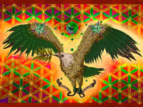 ZeffPelaez-GrowFree2018